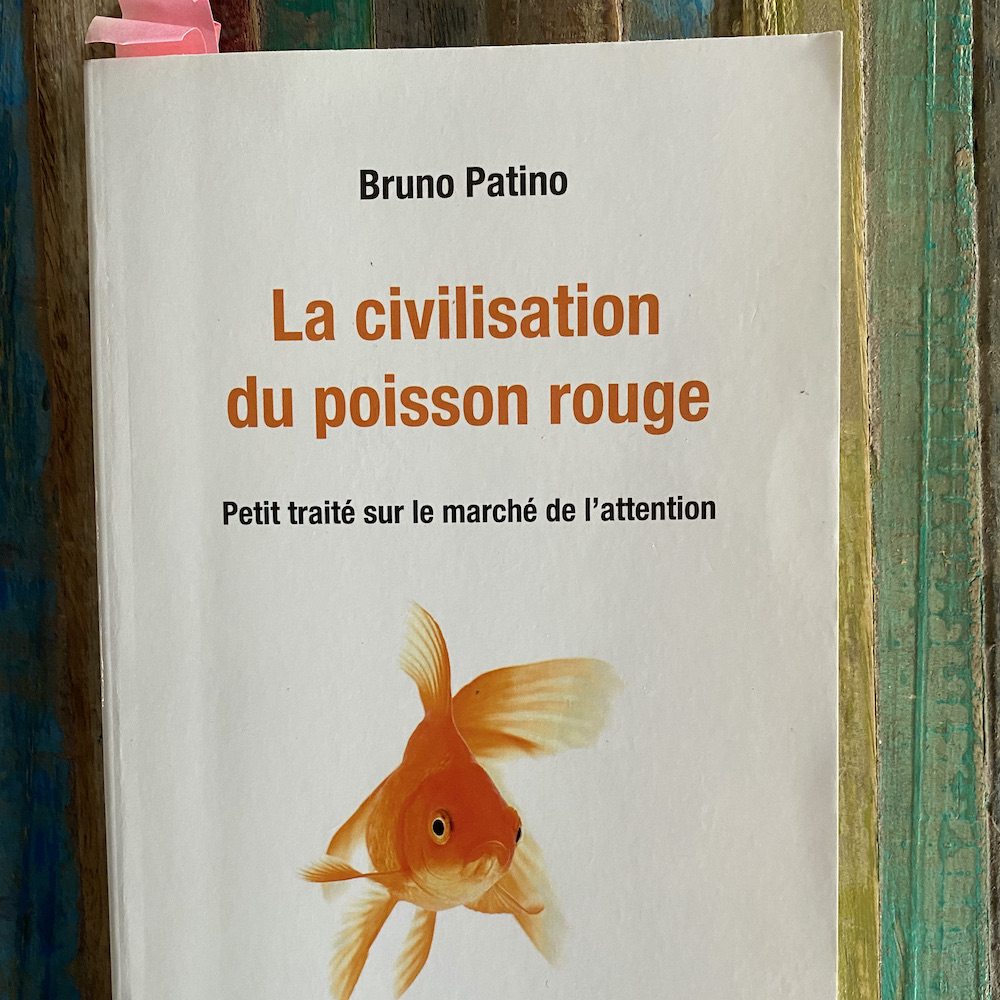 civilisation-poisson-rouge