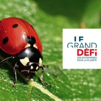 100 idées pour la transition écologique des entreprises