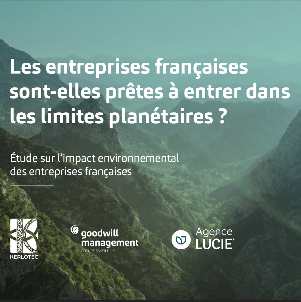 Etude sur l'engagement RSE des entreprises françaises